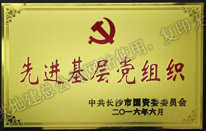 2016年度先进基层党组织