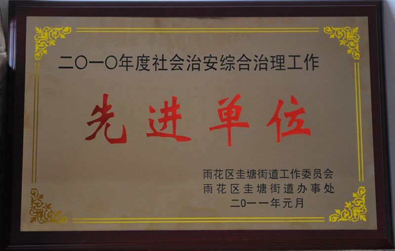 2010年度社会治安综合治理工作先进单位（雨花区圭塘街道工作委员会）.JPG