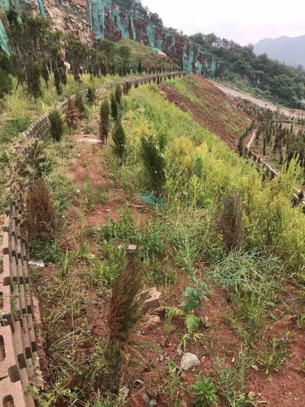 长沙县青山铺镇天华矿业矿区生态修复项目